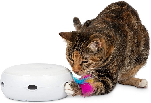 PetFusion Interactive Cat Toy 