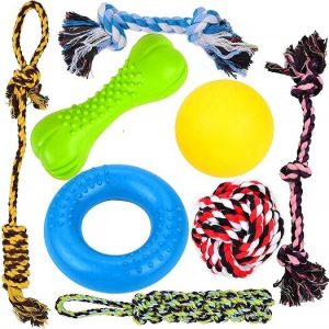 Youngever Dog Chew Toys