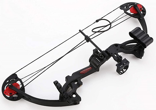 PANDARUS Compound Bow